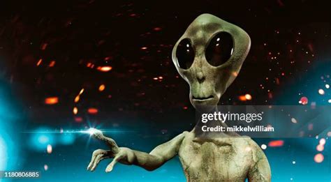 Living Organisms Photos and Premium High Res Pictures .